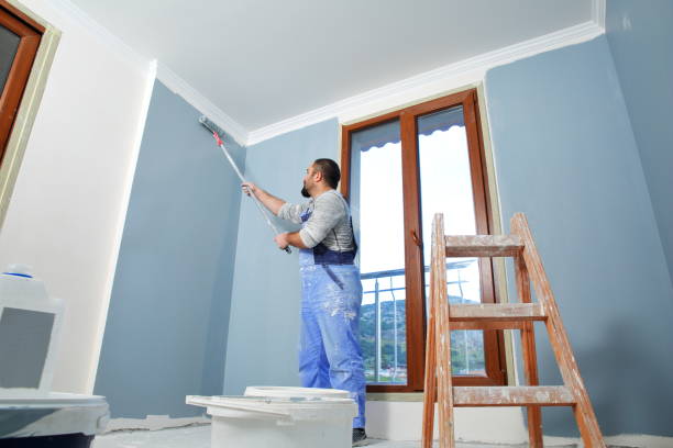 Best Emergency Mold Remediation  in Newcastle, WA