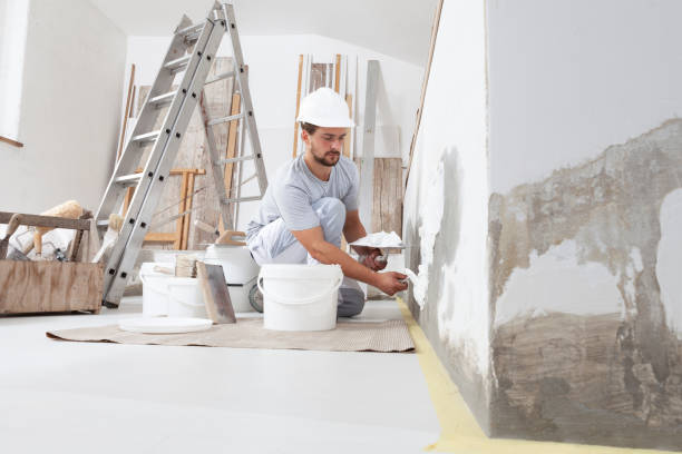 Best Environmental Consulting for Mold Prevention  in Newcastle, WA