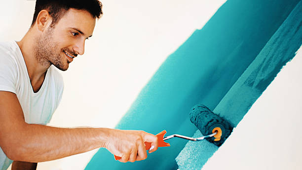 Best Mold Damage Restoration  in Newcastle, WA