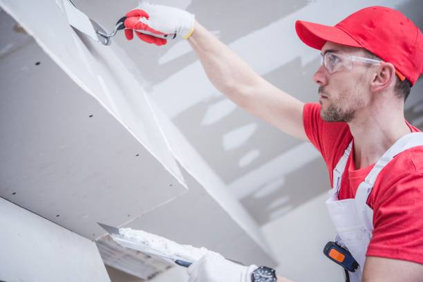 Environmental Consulting for Mold Prevention in Newcastle, WA